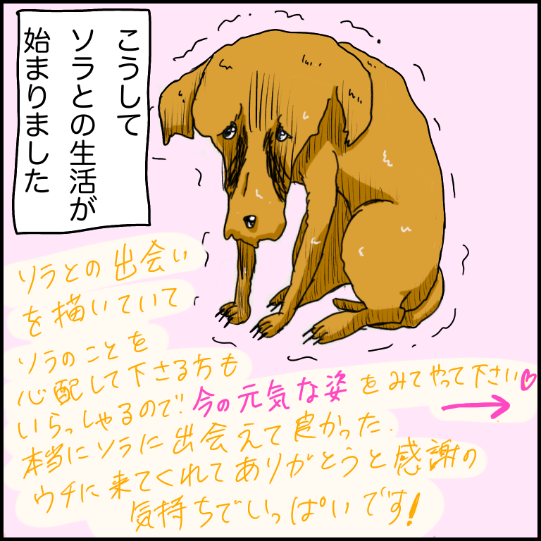 https://sub.reacomi.com/03_ソラの犬漫画_07.png