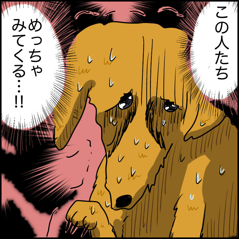 https://sub.reacomi.com/05_ソラの犬漫画_06.png