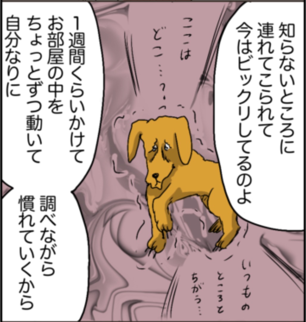 https://sub.reacomi.com/07_ソラの犬漫画_04.jpg