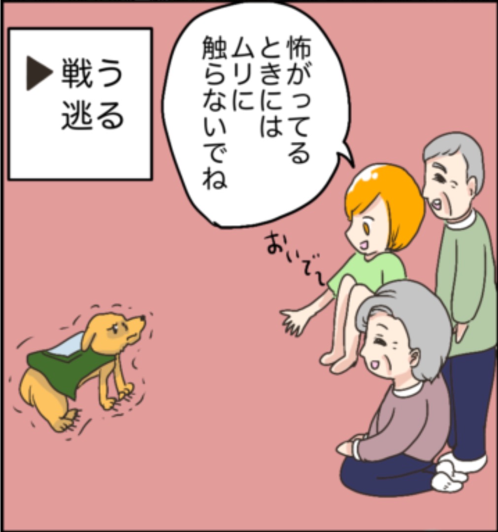 https://sub.reacomi.com/09_ソラの犬漫画_04.jpg