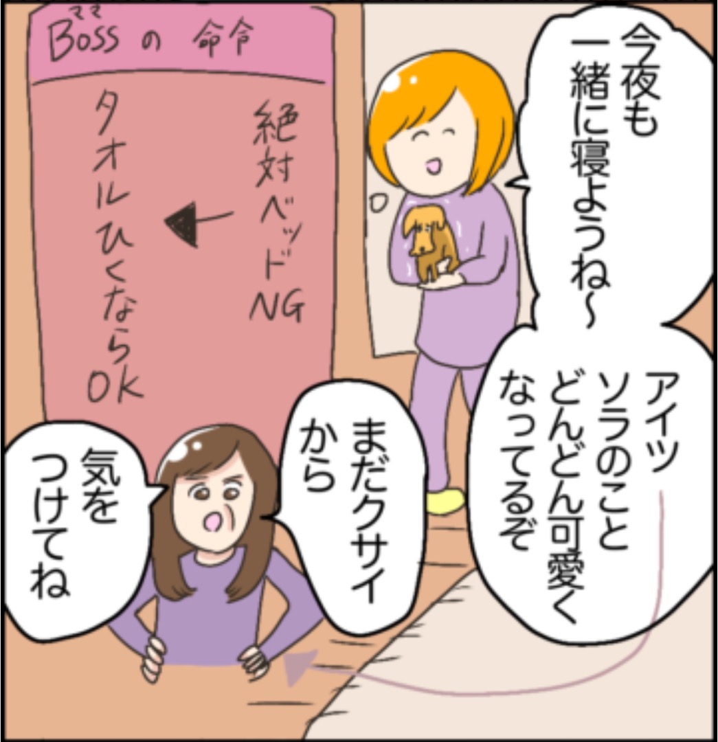 https://sub.reacomi.com/10_ソラの犬漫画_02.jpg