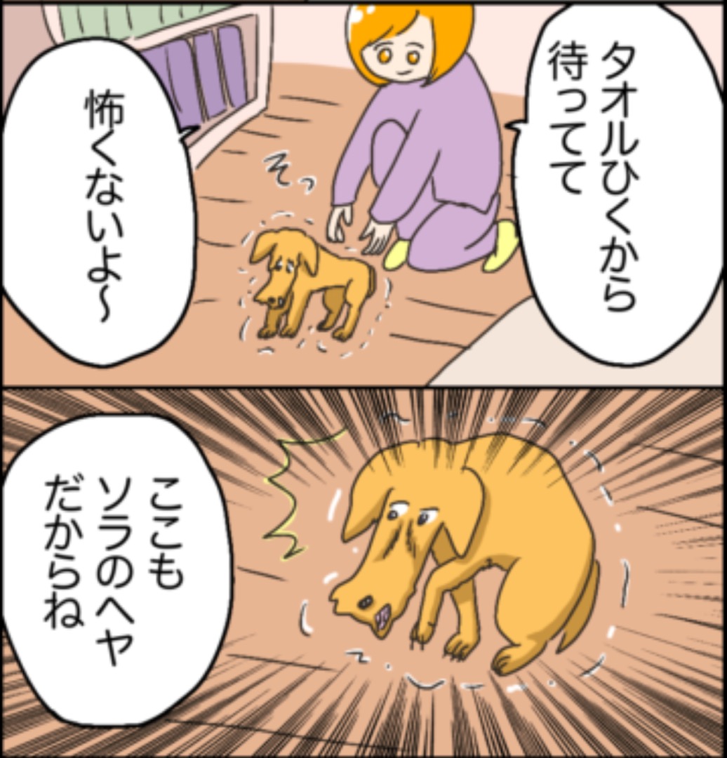 https://sub.reacomi.com/10_ソラの犬漫画_03.jpg