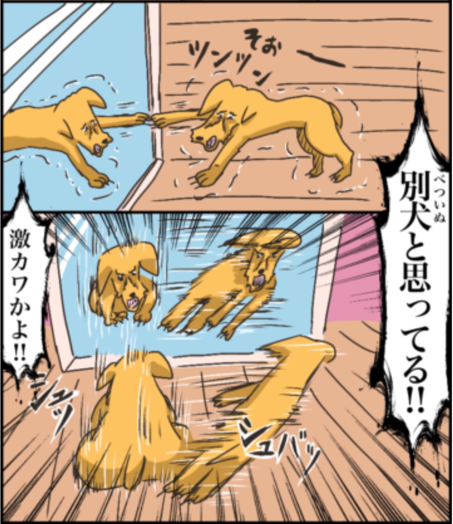 https://sub.reacomi.com/10_ソラの犬漫画_05.jpg