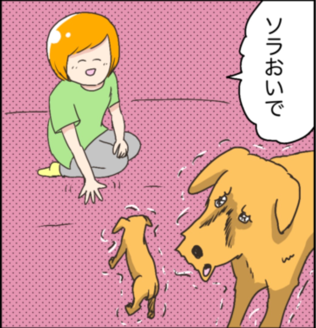 #11ソラの犬マンガ