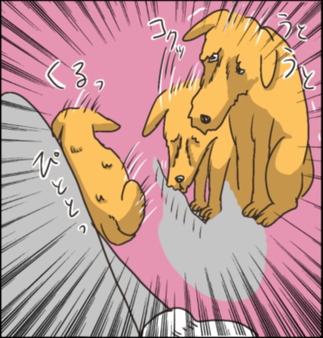 https://sub.reacomi.com/11_ソラの犬漫画_04.jpg