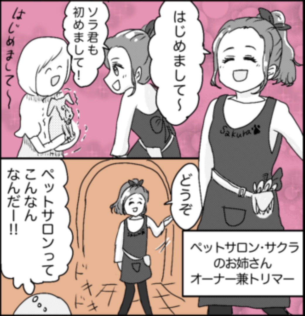 https://sub.reacomi.com/14_ソラの犬漫画_02.jpg