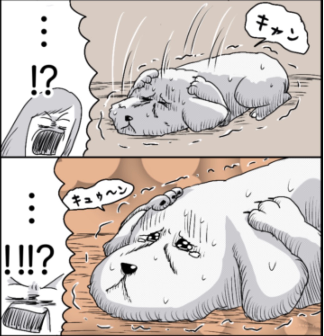 https://sub.reacomi.com/21_ソラの犬漫画_03.jpg