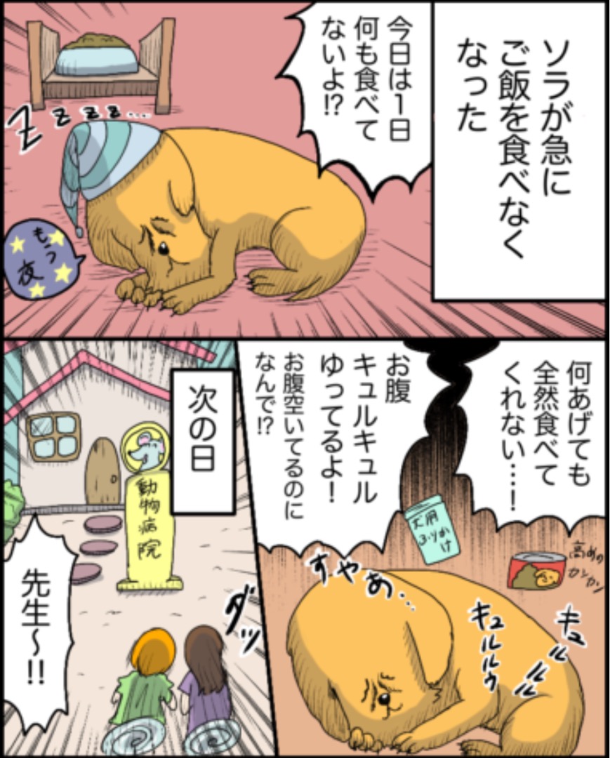 https://sub.reacomi.com/26_ソラの犬漫画_02.jpg