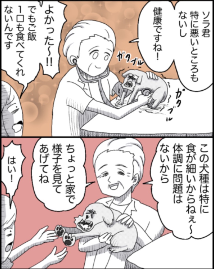 https://sub.reacomi.com/26_ソラの犬漫画_03.jpg