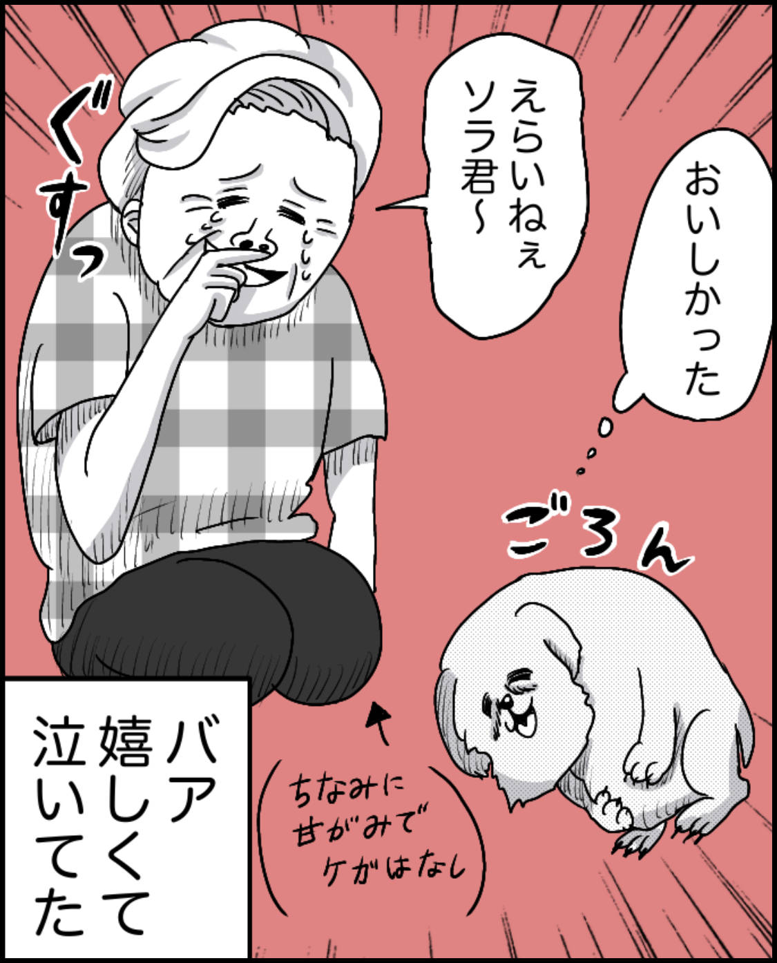 https://sub.reacomi.com/27_ソラの犬漫画_05.png