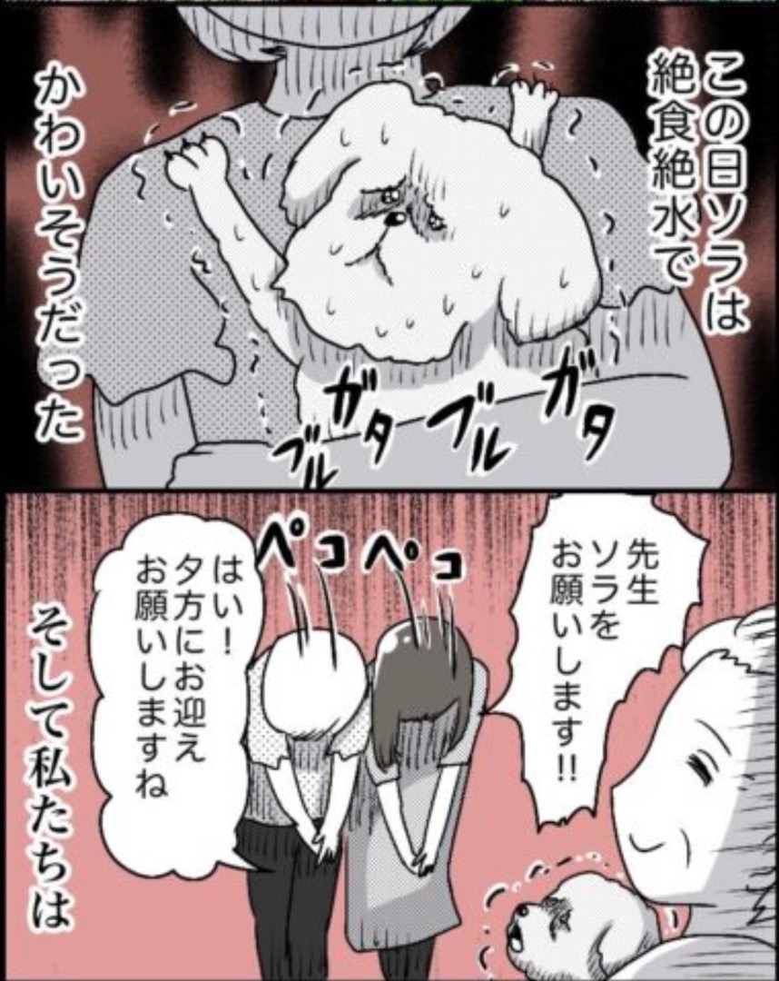 https://sub.reacomi.com/31_ソラの犬漫画_03.jpg