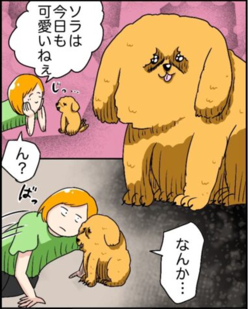 https://sub.reacomi.com/34_ソラの犬漫画_02.jpg