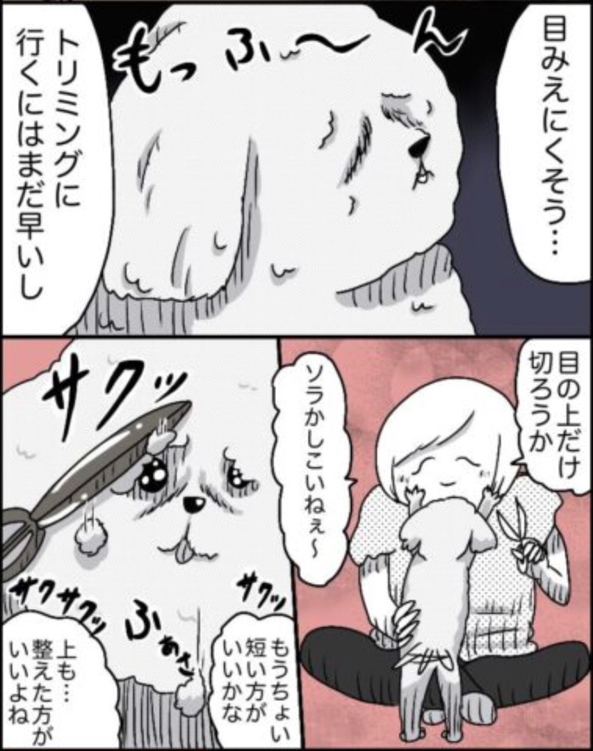 https://sub.reacomi.com/34_ソラの犬漫画_03.jpg