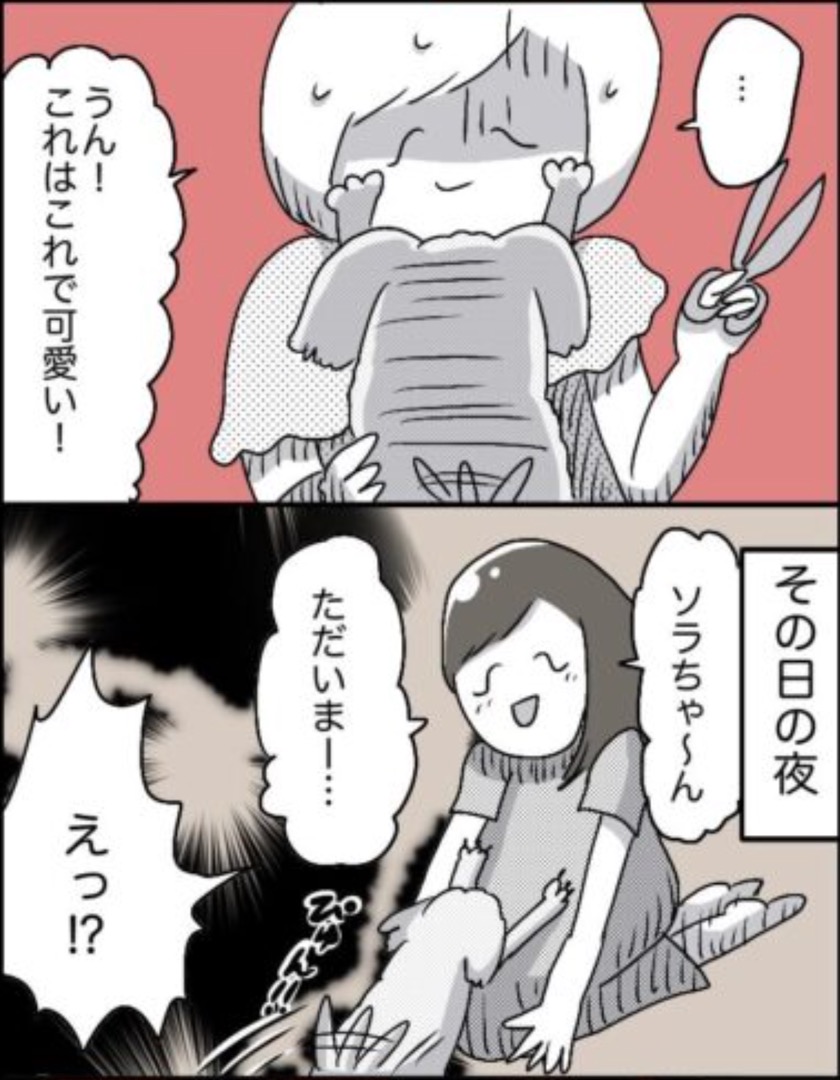 https://sub.reacomi.com/34_ソラの犬漫画_04.jpg