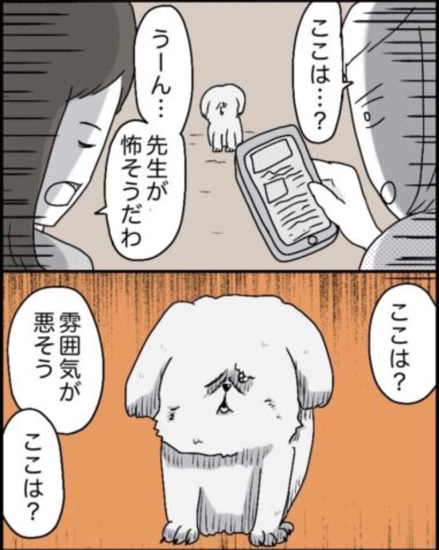 https://sub.reacomi.com/36_ソラの犬漫画_03.jpg